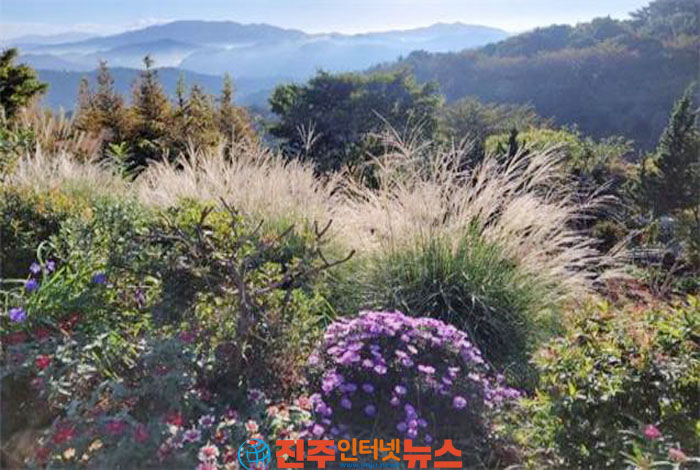 경남도 민간정원에서 무더위속 녹색 힐링! 여기 어때?
