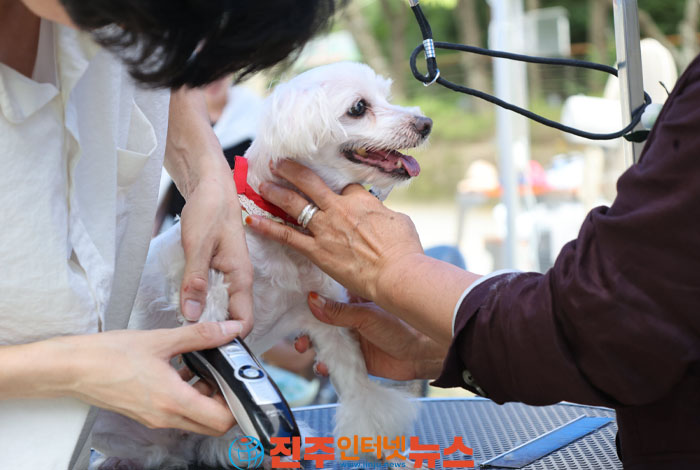 진양호 꿈키움동산과 물초울공원에서 ‘반려동물 사지 말고 입양하세요’