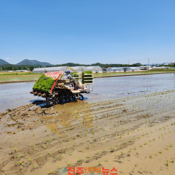벼 깨씨무늬병 예방 적기 모내기부터!