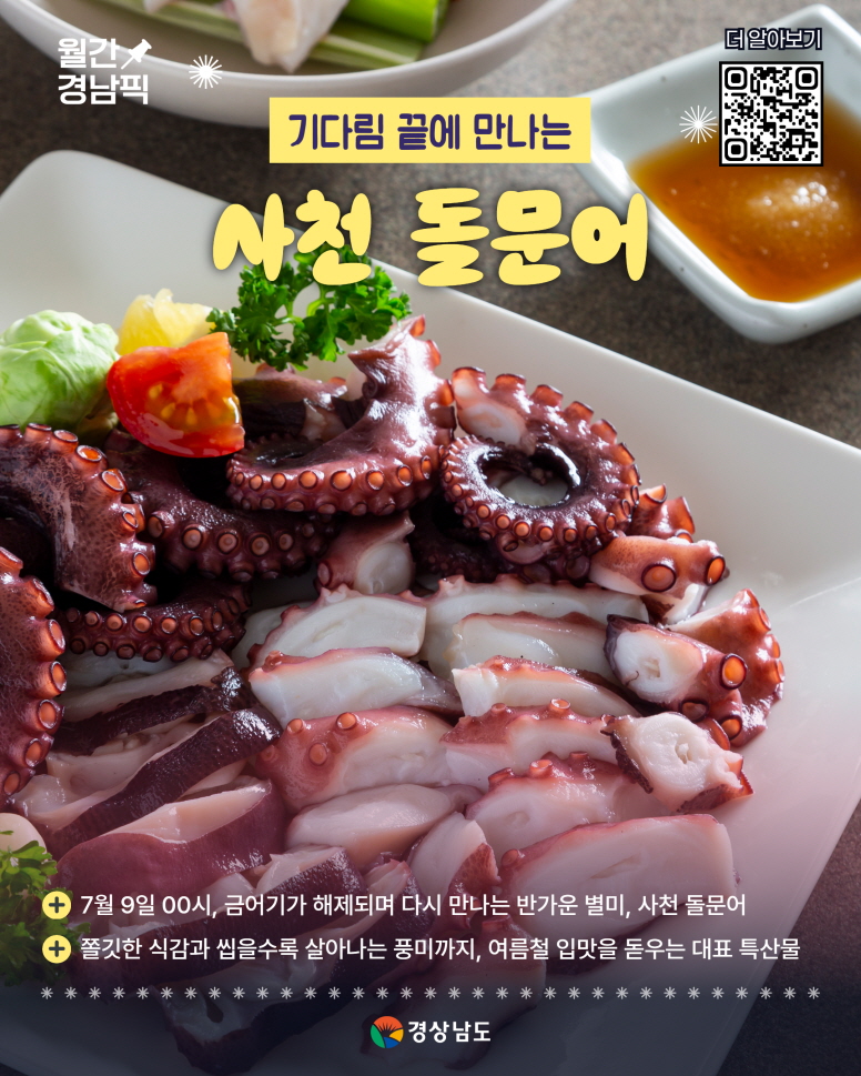 사천 돌문어, 금어기 해제 후 만나는 여름 최고의 별미
