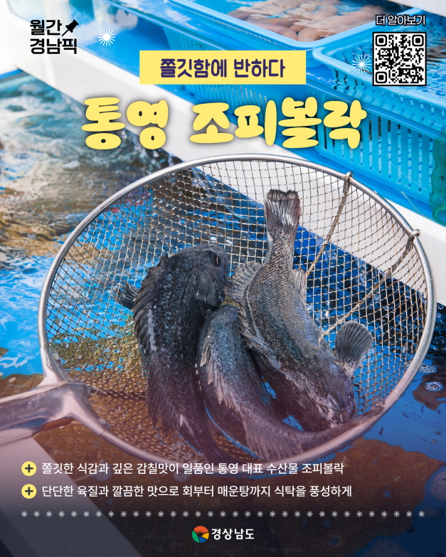 통영 조피볼락, 여름 입맛 살리는 경남 대표 수산물