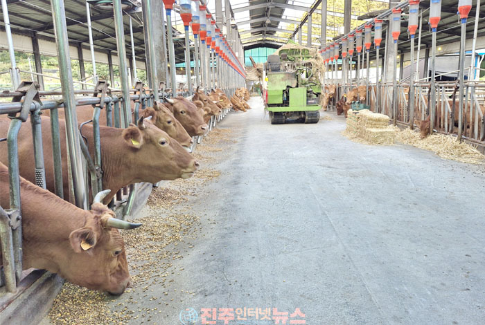 경남도, 축산농가 사료구매자금 수요조사…최대 9억 원 저리 융자 지원에도 '상환 부담' 과제