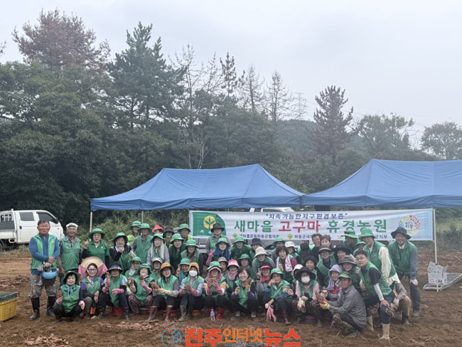새마을운동하동군지회 사랑의 고구마 수확
