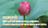청렴(淸廉)의 본질과 지방자치단체장의 책임...팽형(烹刑)을 받아야 할 청렴!