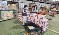 경남 농산물 안전망 강화…상반기 부적합 농산물 12건 적발, 잔류농약 유통 사전 차단