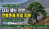 지리산 천년송 아래서 전통혼례…결혼식 못 올린 부부에 무료 지원, 다문화·저소득층 우선