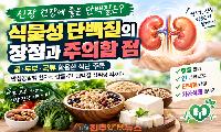 신장 건강에 좋은 단백질은? 식물성 단백질의 장점과 주의할 점