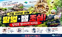 지리산 뱀·말벌 출현 잇따라…가을 산행 전 꼭 알아야 할 안전수칙